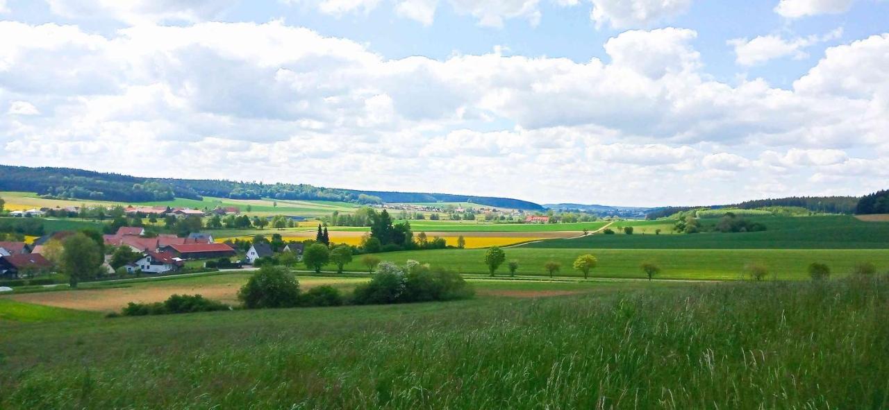 Ferienwohnung Im Barockwinkel Neuburg an der Kammel Kültér fotó